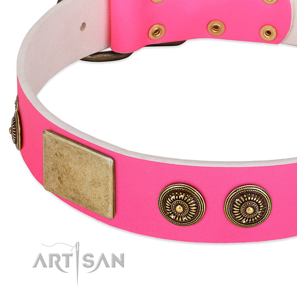 Comfortable dog collar created for your impressive canine