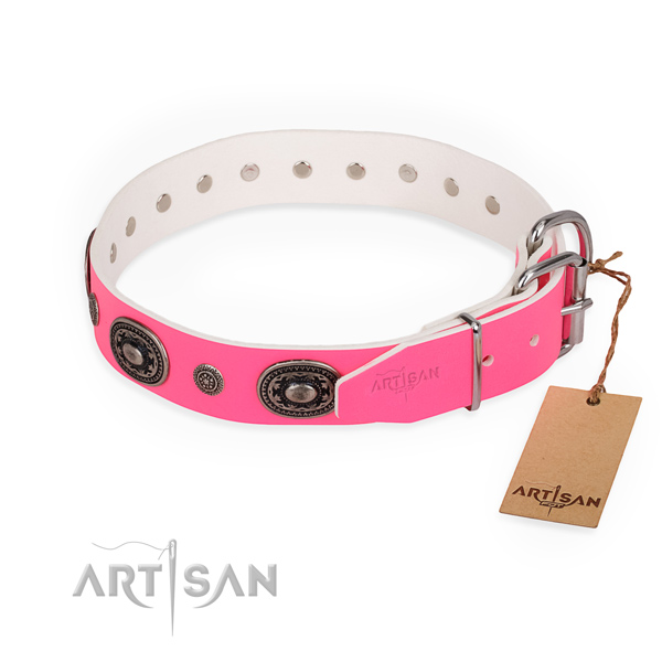 Walking adorned dog collar with rust-proof D-ring