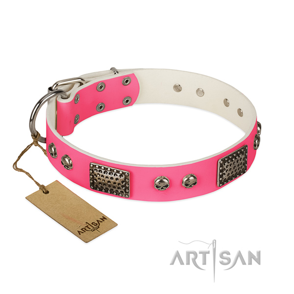 Easy to adjust full grain leather dog collar for walking your dog