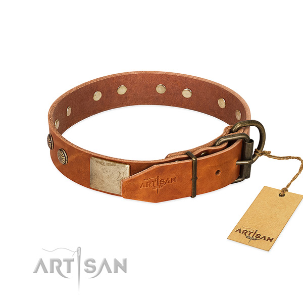 Corrosion resistant embellishments on handy use dog collar