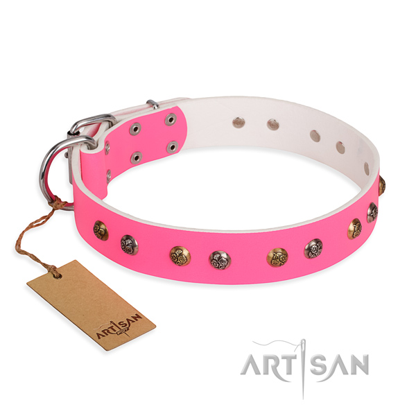 Daily use amazing dog collar with corrosion resistant hardware