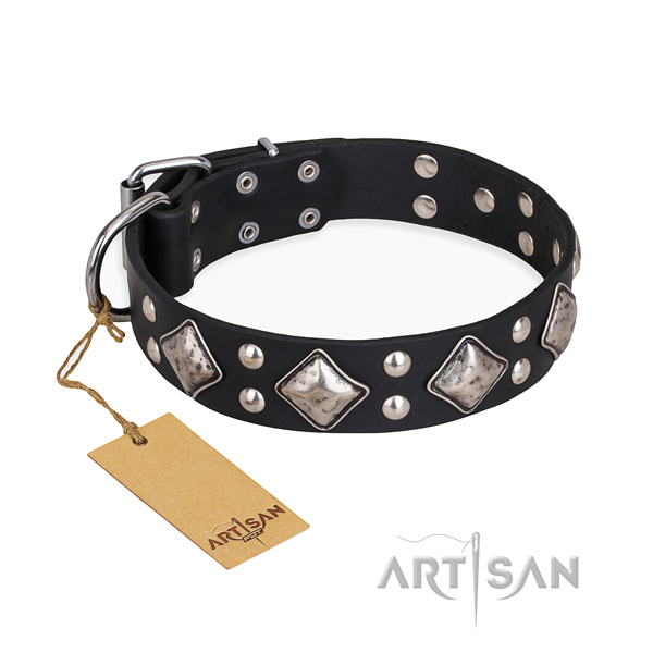 Daily use amazing dog collar with corrosion resistant hardware