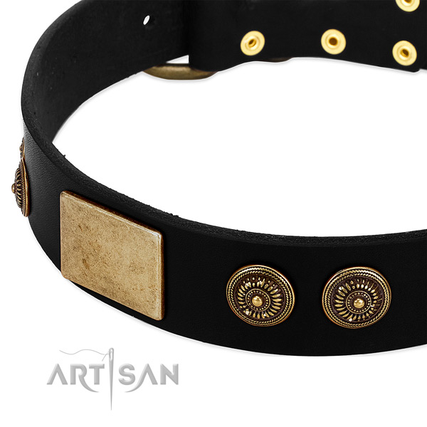 Reliable fittings on full grain leather dog collar for your four-legged friend