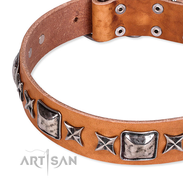 Handy use decorated dog collar of top notch full grain natural leather