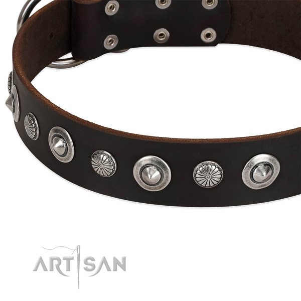 Inimitable embellished dog collar of reliable full grain genuine leather