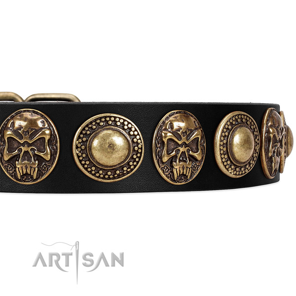 Genuine leather dog collar with embellishments for daily walking