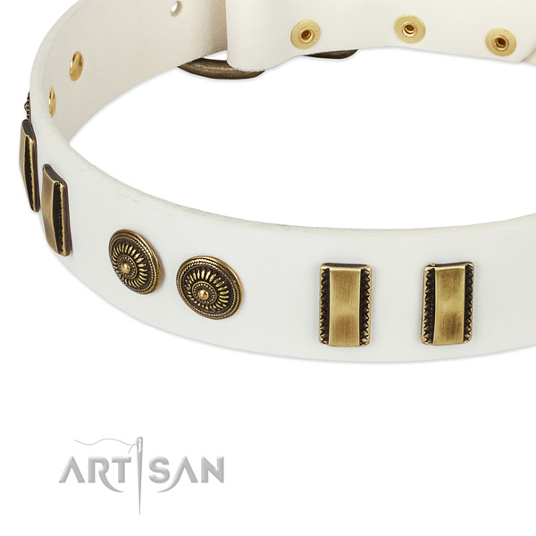 Rust-proof D-ring on leather dog collar for your canine