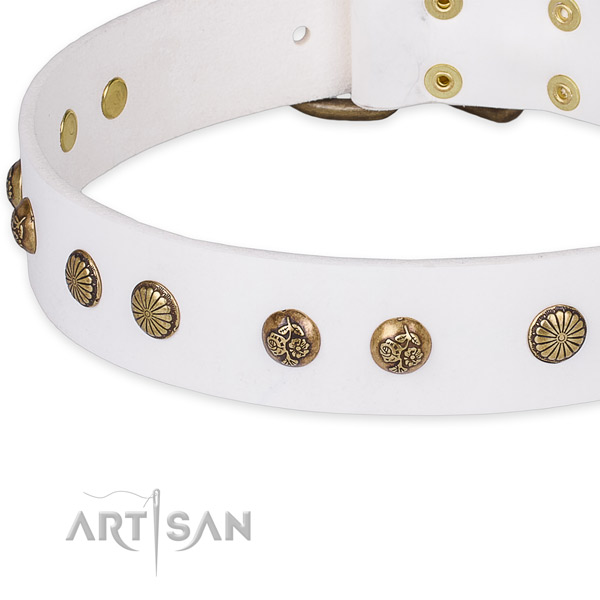 Leather collar with reliable buckle for your lovely pet