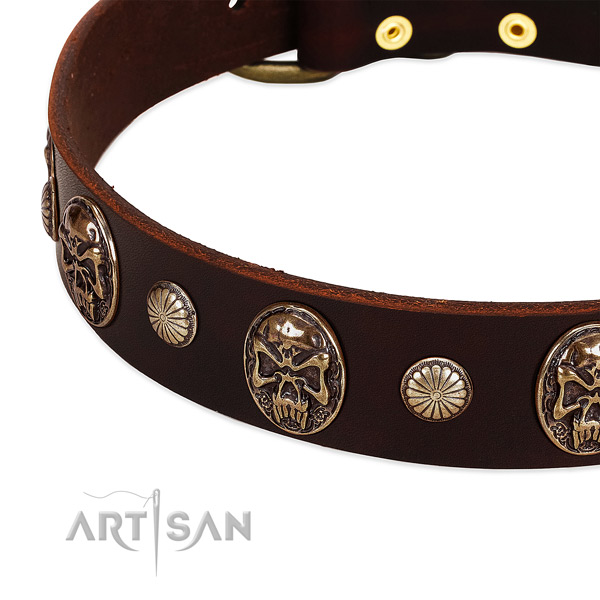 Genuine leather dog collar with studs for daily walking