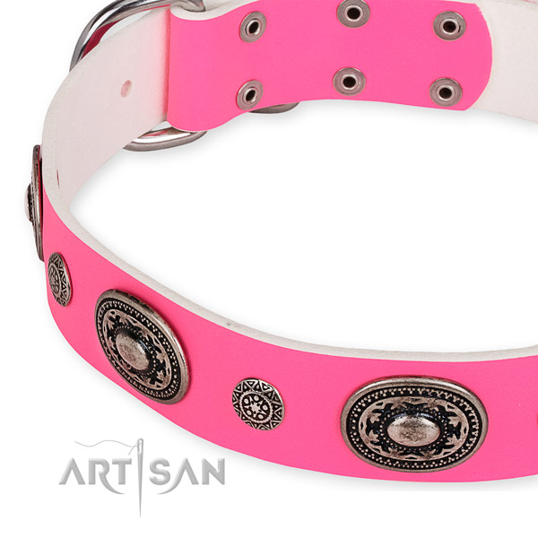 Natural genuine leather dog collar with trendy corrosion resistant studs