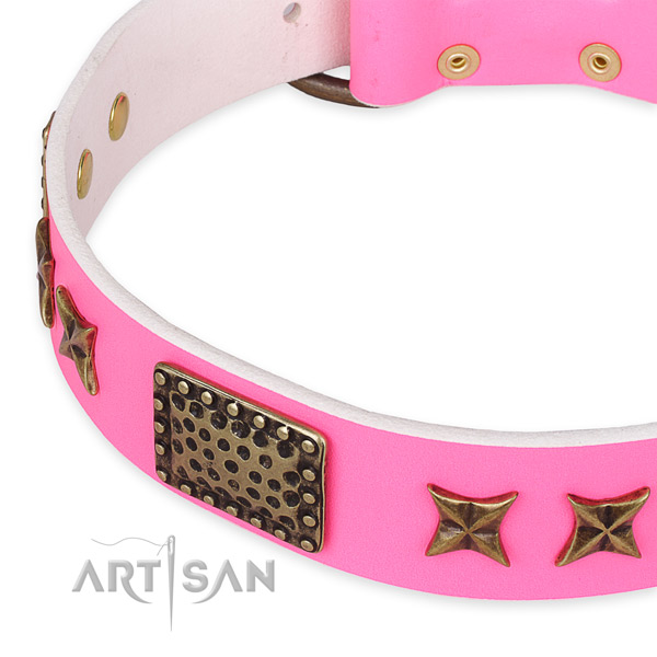 Genuine leather collar with corrosion proof D-ring for your handsome canine