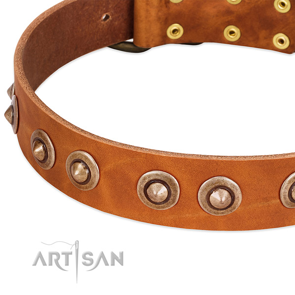 Rust resistant buckle on full grain natural leather dog collar for your four-legged friend