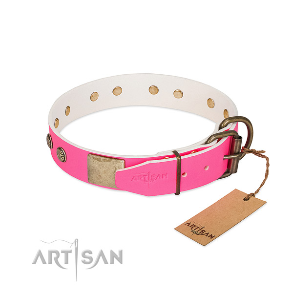 Corrosion proof traditional buckle on stylish walking dog collar