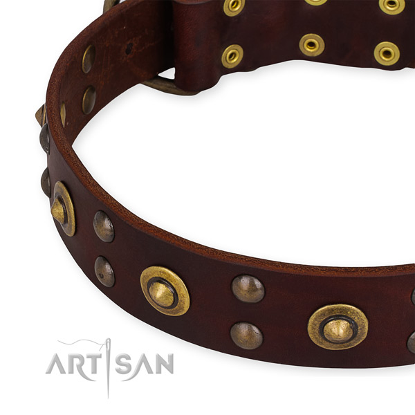 Full grain natural leather collar with reliable buckle for your lovely canine