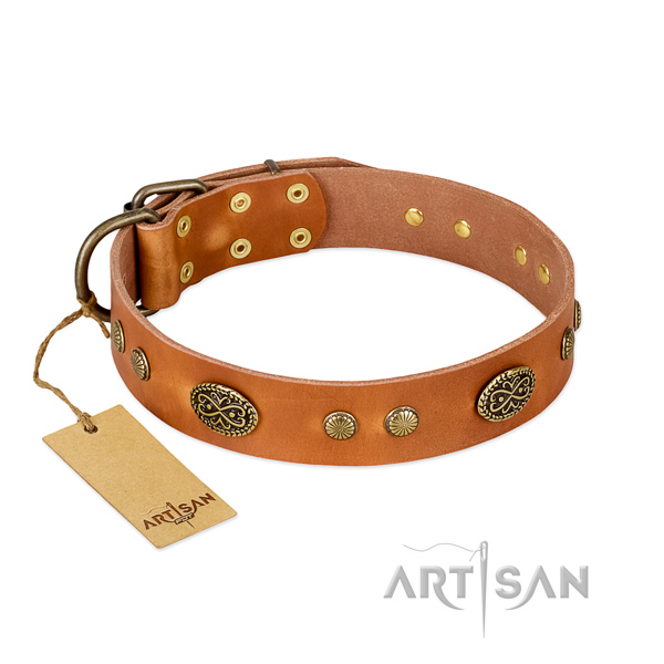 Corrosion proof D-ring on full grain leather dog collar for your four-legged friend