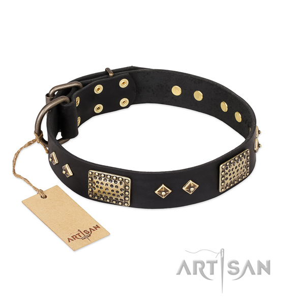 Fashionable leather dog collar for walking