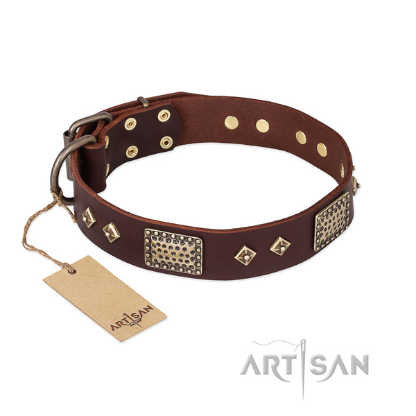 Exceptional leather dog collar for daily use