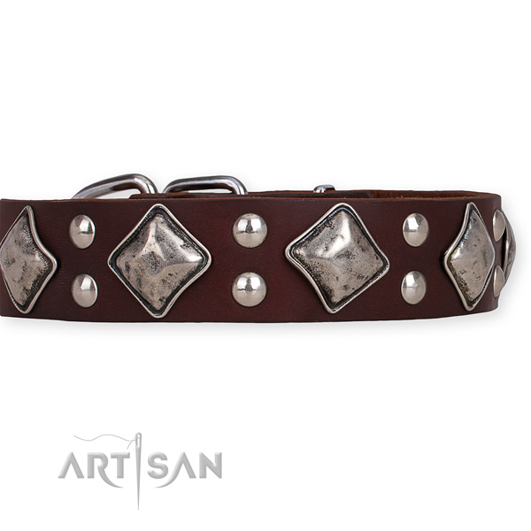 Natural leather dog collar with exceptional rust resistant decorations