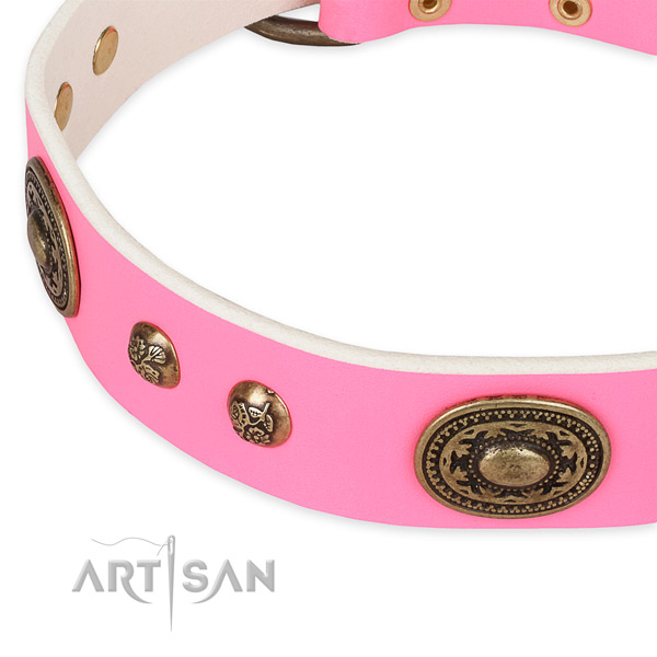 Amazing full grain leather collar for your handsome canine