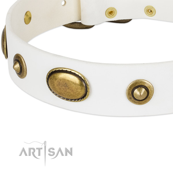 Durable studs on natural leather dog collar for your canine
