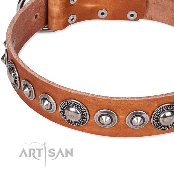 Walking adorned dog collar of finest quality full grain leather