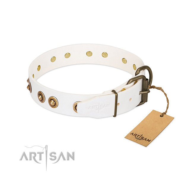 Reliable decorations on full grain natural leather dog collar for your canine