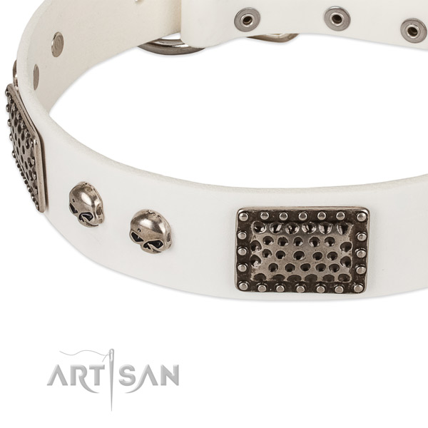 Corrosion resistant traditional buckle on natural genuine leather dog collar for your canine