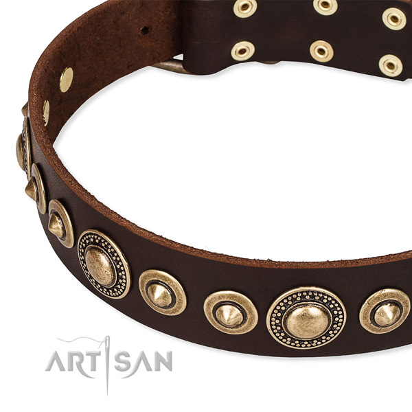 Durable genuine leather dog collar handcrafted for your beautiful canine