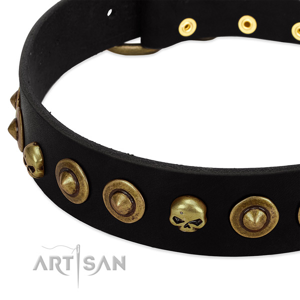 Full grain genuine leather dog collar with stunning embellishments