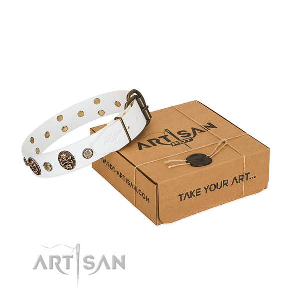 Rust-proof D-ring on leather dog collar for walking