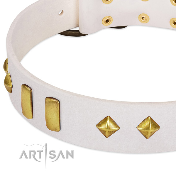 Easy wearing full grain genuine leather dog collar with stylish design embellishments