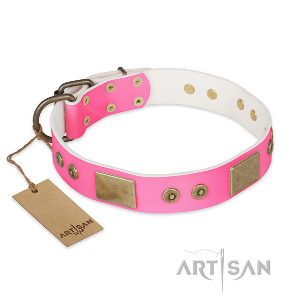 Stunning natural genuine leather dog collar for daily use