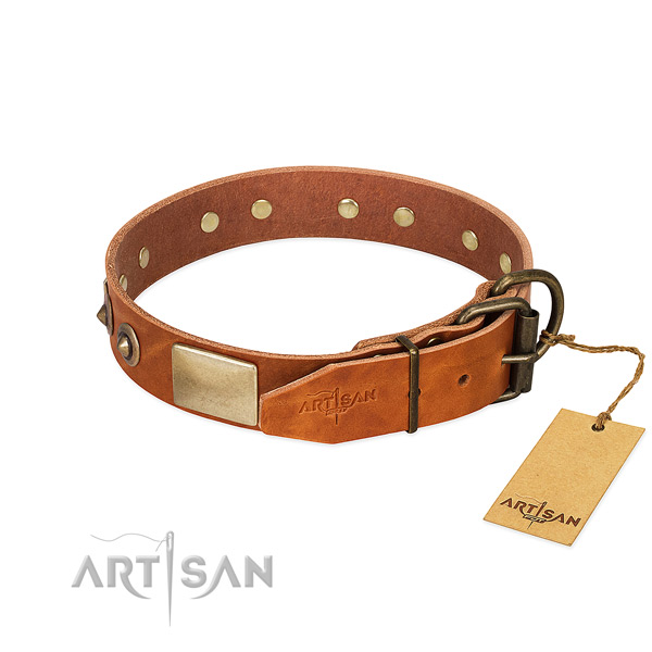 Rust-proof decorations on basic training dog collar