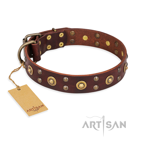 Significant leather dog collar with rust resistant fittings