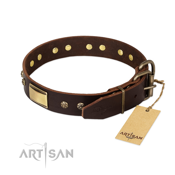 Unusual leather collar for your canine