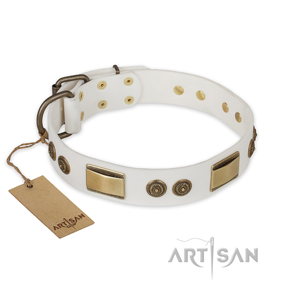 Perfect fit full grain genuine leather dog collar for everyday use