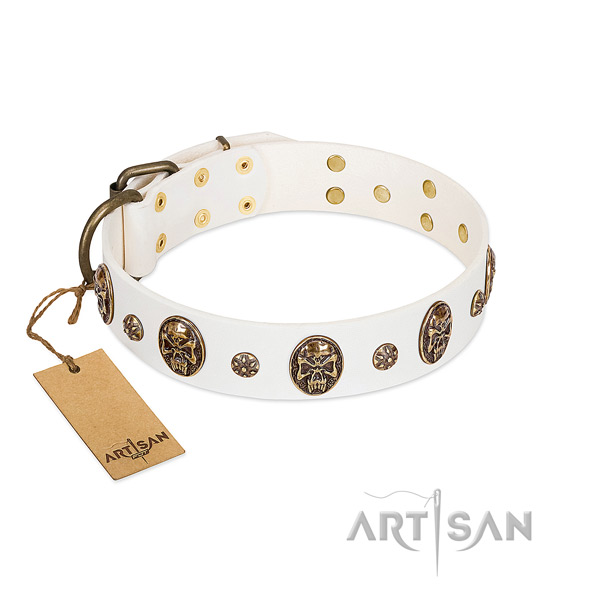 Inimitable genuine leather collar for your pet
