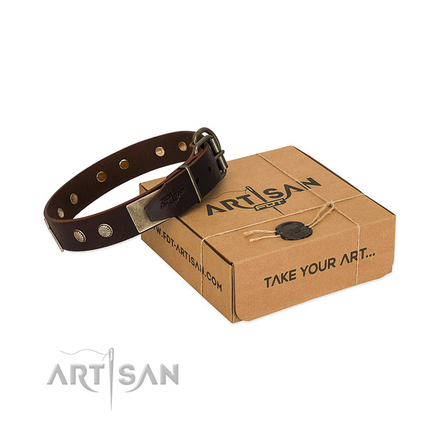 Durable studs on dog collar for basic training