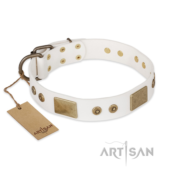 Trendy genuine leather dog collar for easy wearing