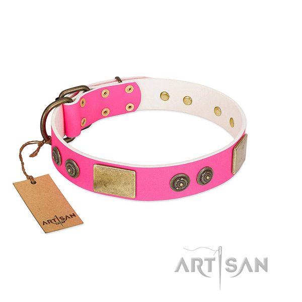 Incredible natural genuine leather dog collar for daily use