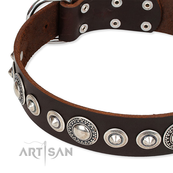 Comfortable wearing studded dog collar of reliable full grain genuine leather