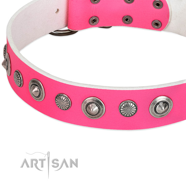 Full grain leather collar with strong traditional buckle for your impressive dog