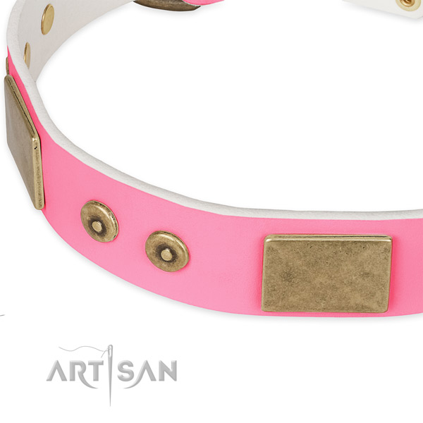 Full grain leather dog collar with adornments for daily walking