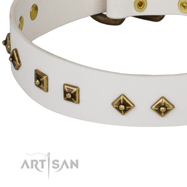 Significant genuine leather collar for your lovely four-legged friend