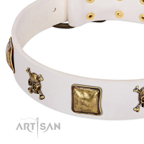 Amazing full grain natural leather dog collar with rust resistant studs
