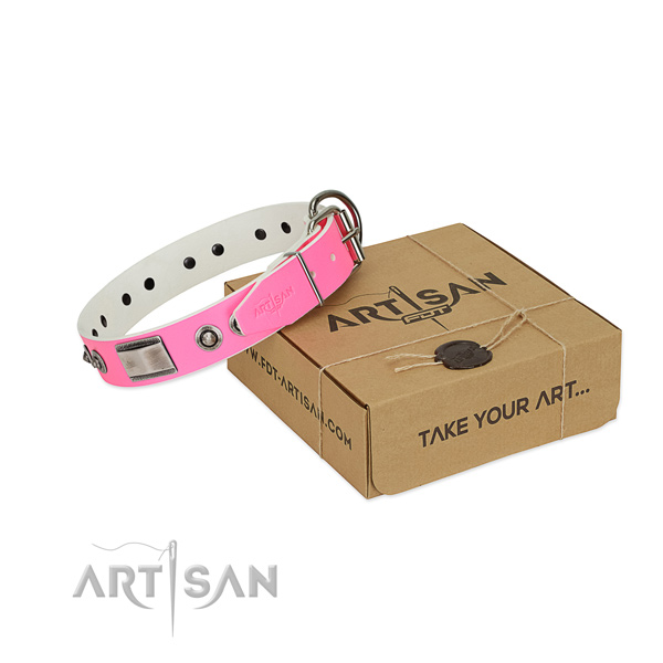 Stylish design full grain leather collar with adornments for your four-legged friend