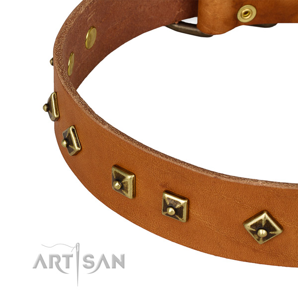 Easy to adjust full grain leather collar for your attractive canine