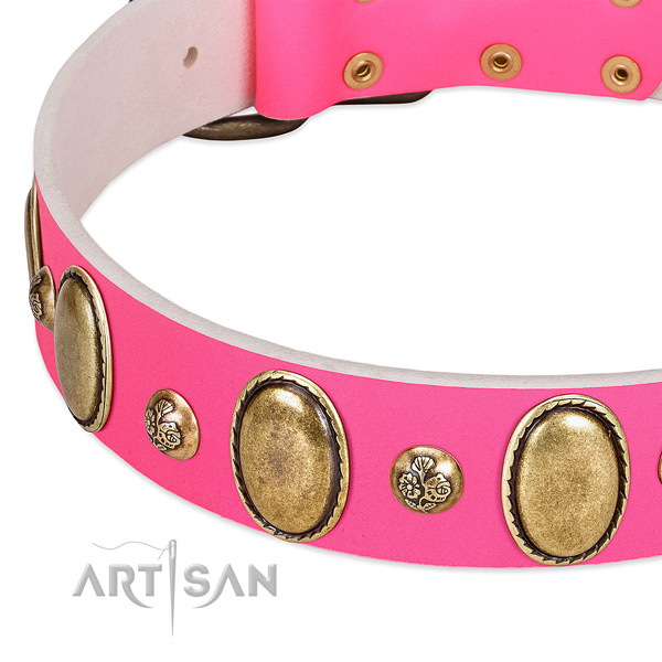 Everyday use soft full grain leather dog collar