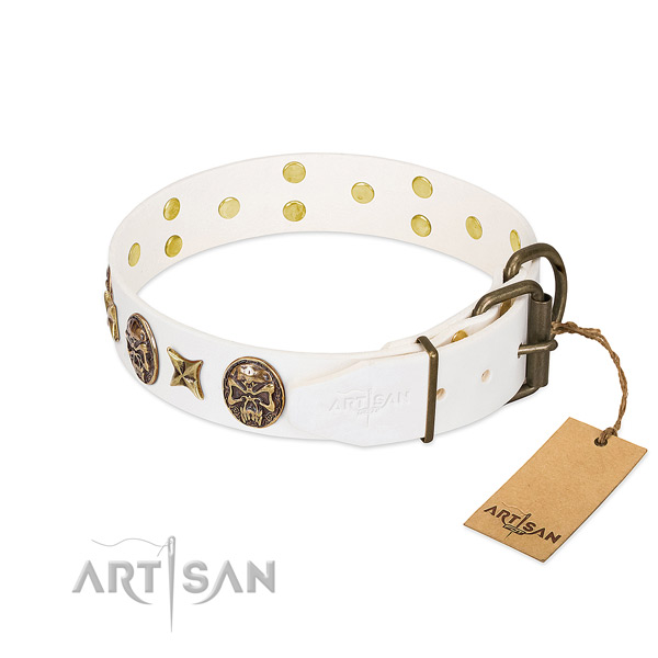 Rust resistant traditional buckle on genuine leather collar for fancy walking your doggie