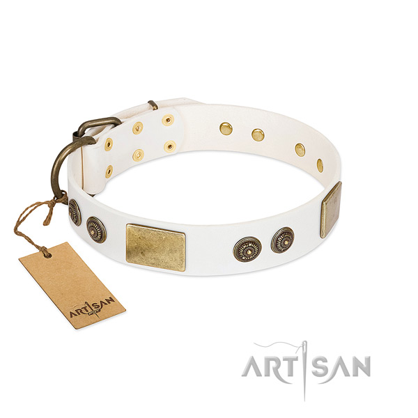 Amazing leather dog collar for daily walking